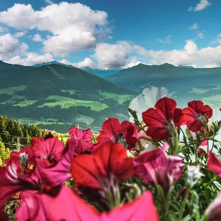 Διαμέρισμα Mit Panoramablick *