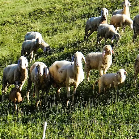 Mit Panoramablick Διαμέρισμα